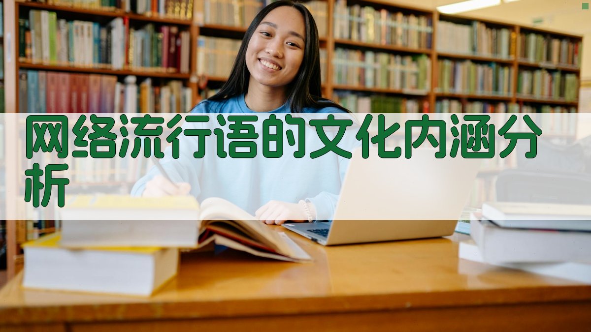 网络流行语的文化内涵分析 图3