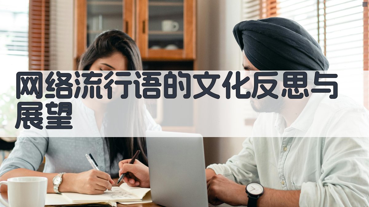 网络流行语的文化反思与展望 图2