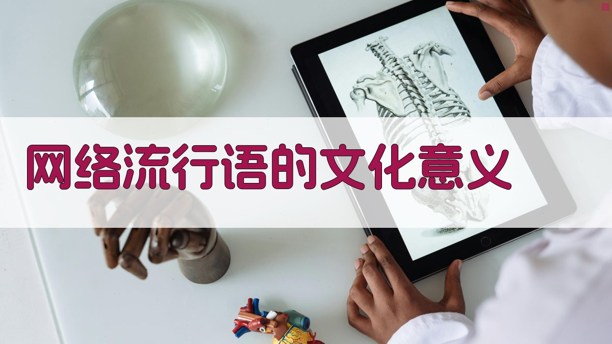 网络流行语的文化意义 图2