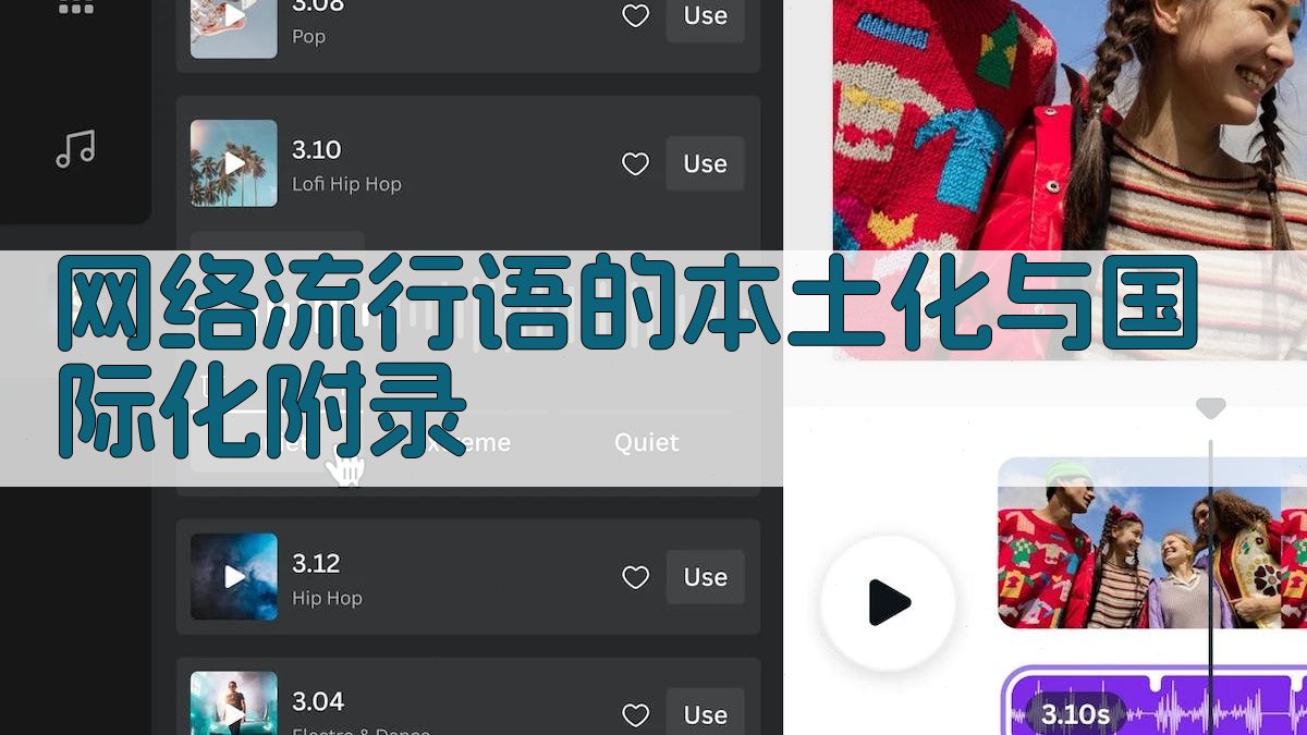 网络流行语的本土化与国际化 · 附录 图5