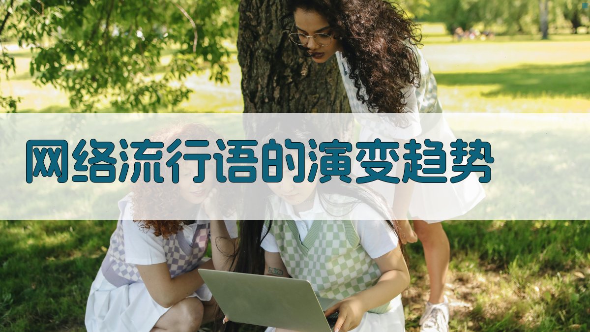 网络流行语的演变趋势 图4