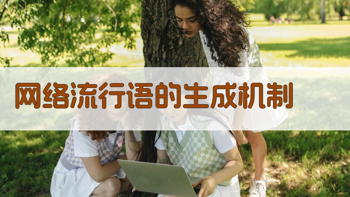 网络流行语的生成机制 图1