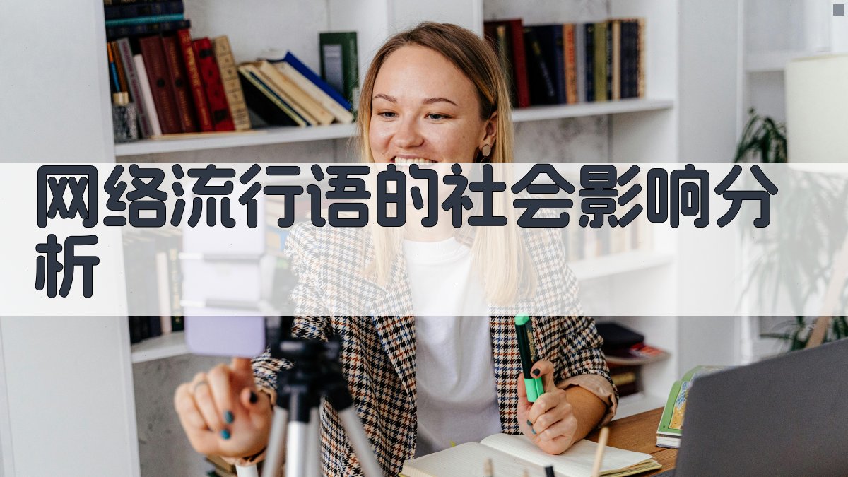 网络流行语的社会影响分析 图3