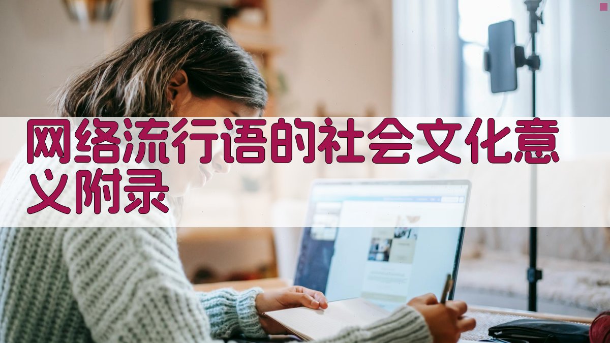 网络流行语的社会文化意义 · 附录 图4