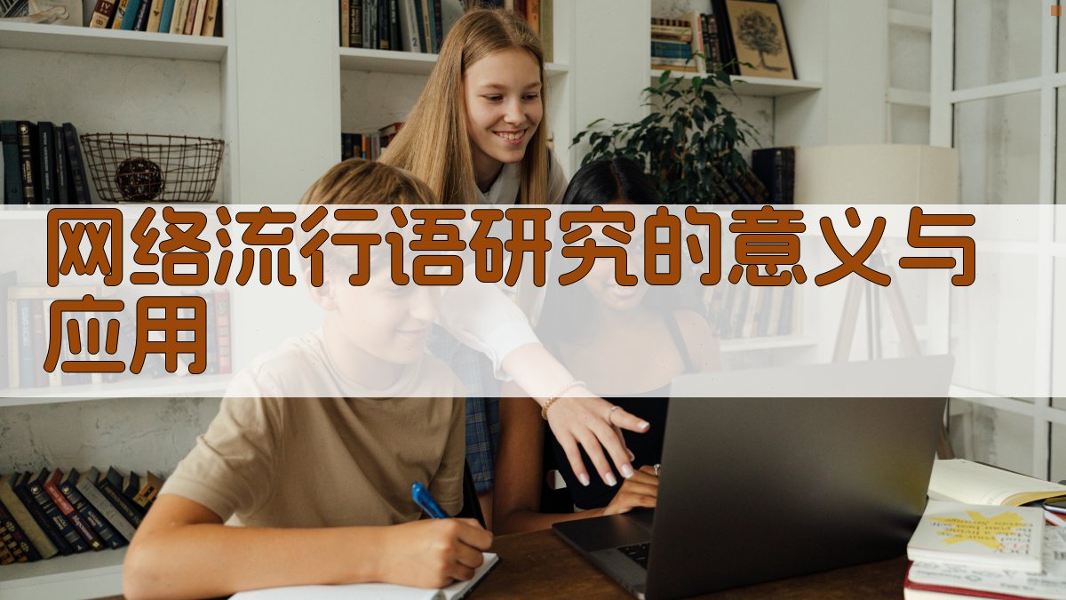 网络流行语研究的意义与应用 图2