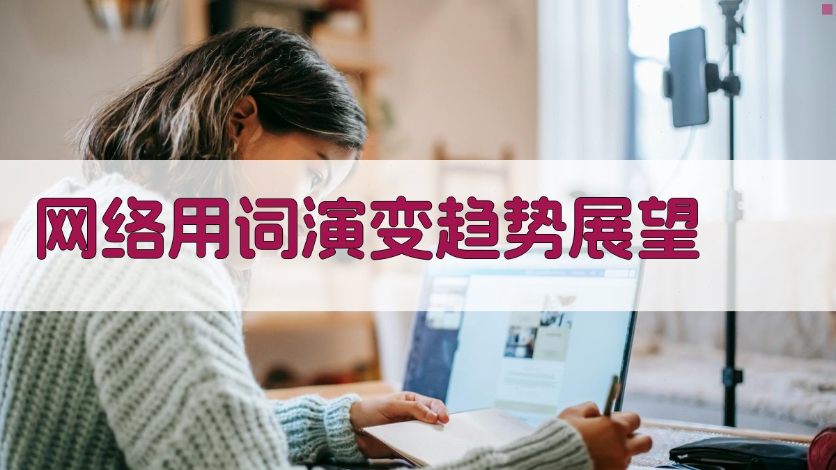 网络用词演变趋势展望 图2