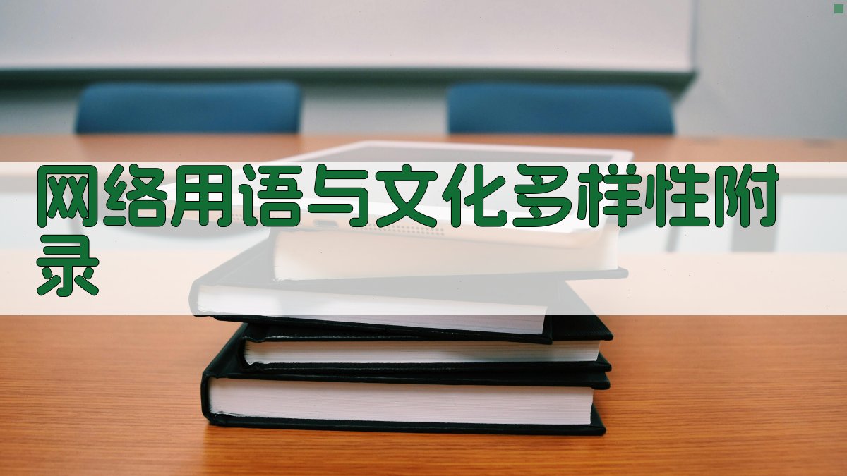 网络用语与文化多样性 · 附录 图5