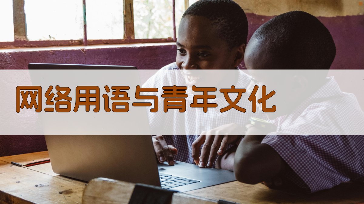 网络用语与青年文化 图3