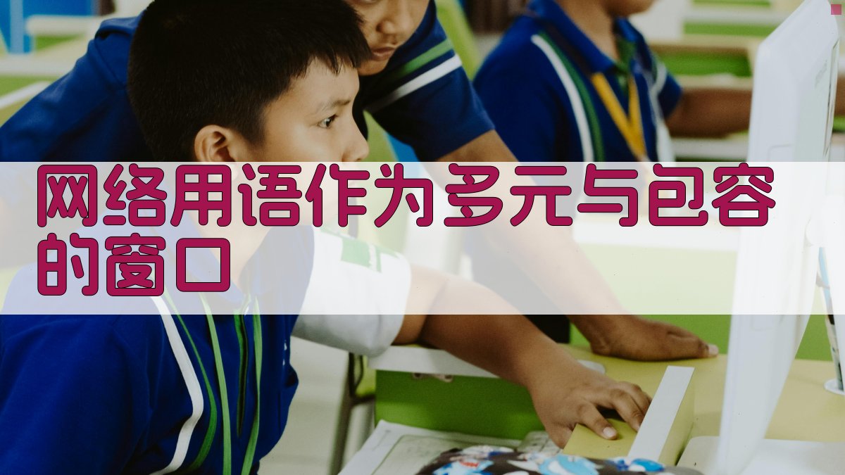 网络用语作为多元与包容的窗口 图4