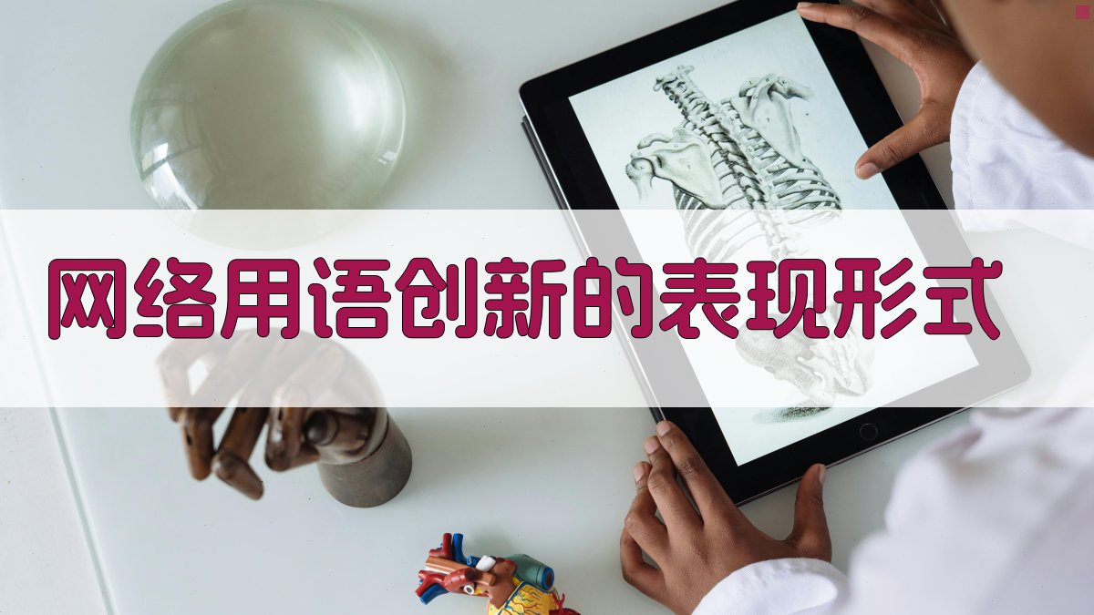 网络用语创新的表现形式 图1