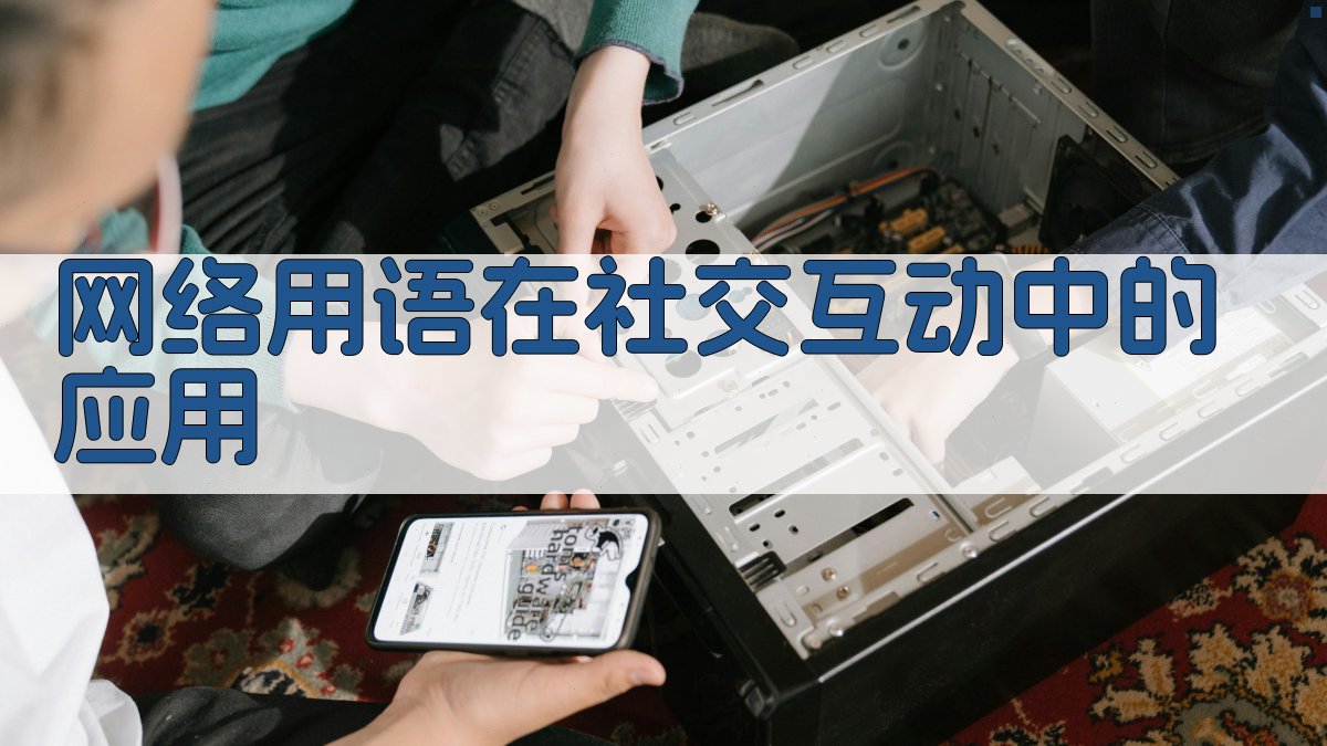 网络用语在社交互动中的应用 图2