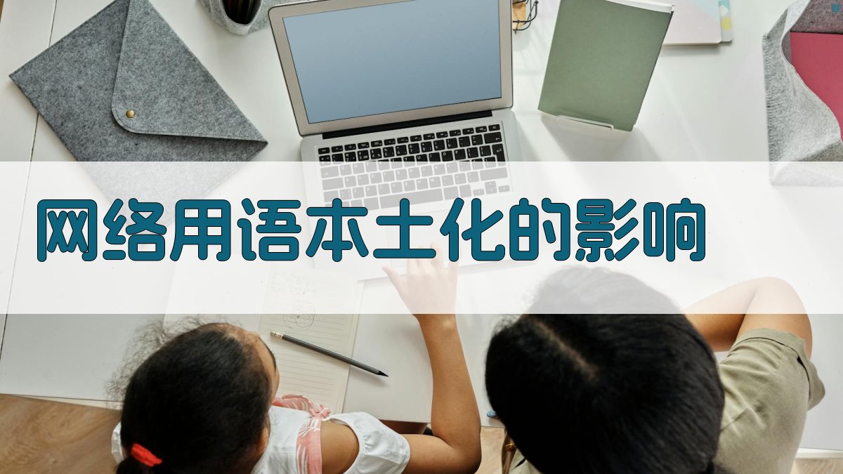 网络用语本土化的影响 图3