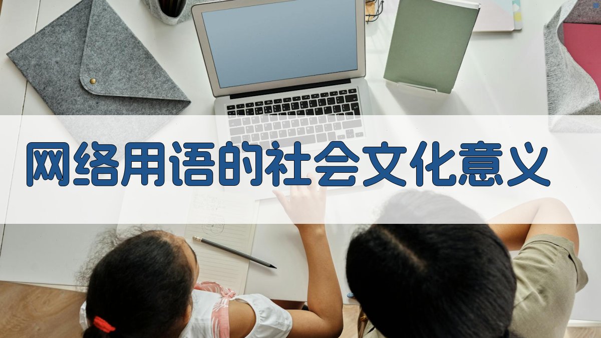 网络用语的社会文化意义 图4