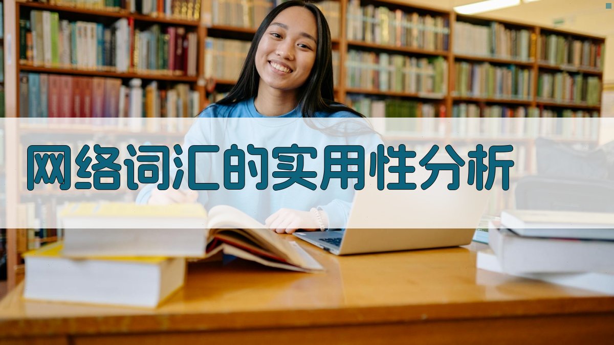 网络词汇的实用性分析 图1