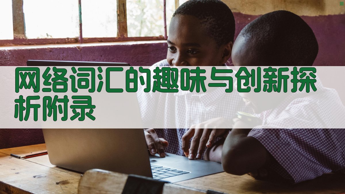 网络词汇的趣味与创新探析 · 附录 图1