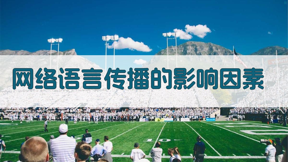 网络语言传播的影响因素 图3