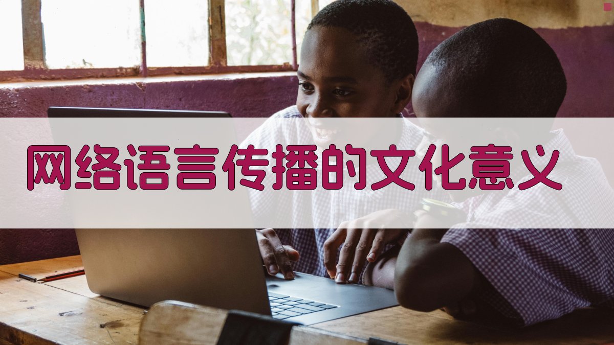 网络语言传播的文化意义 图4