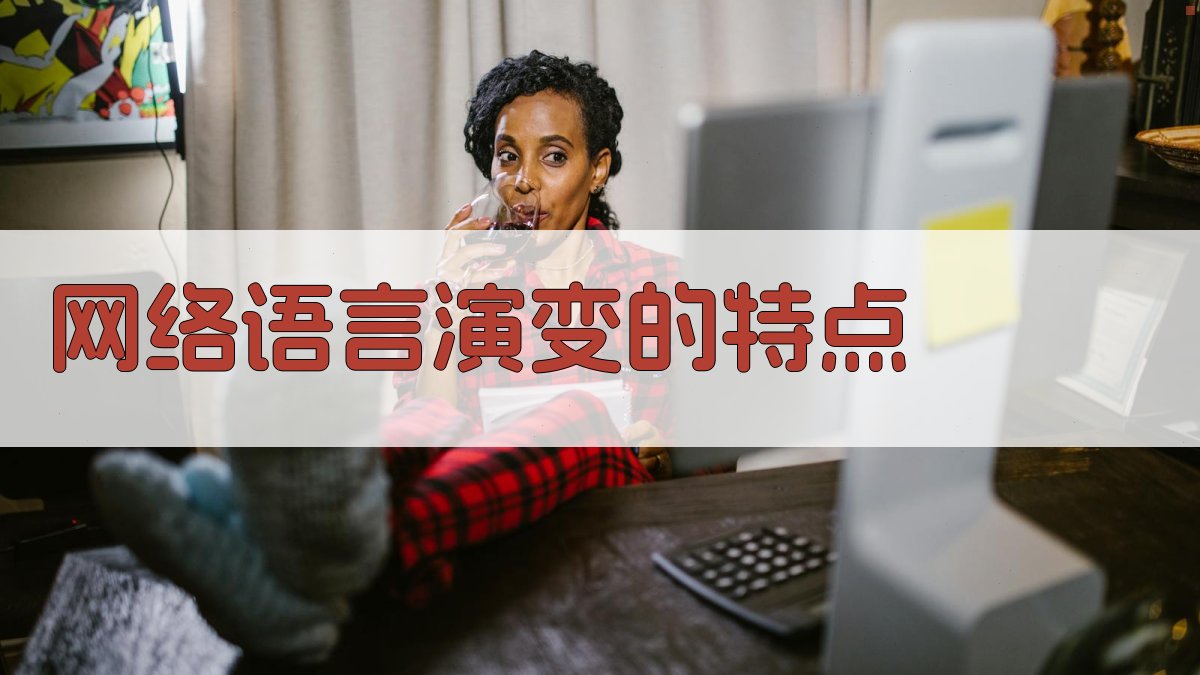 网络语言演变的特点 图2