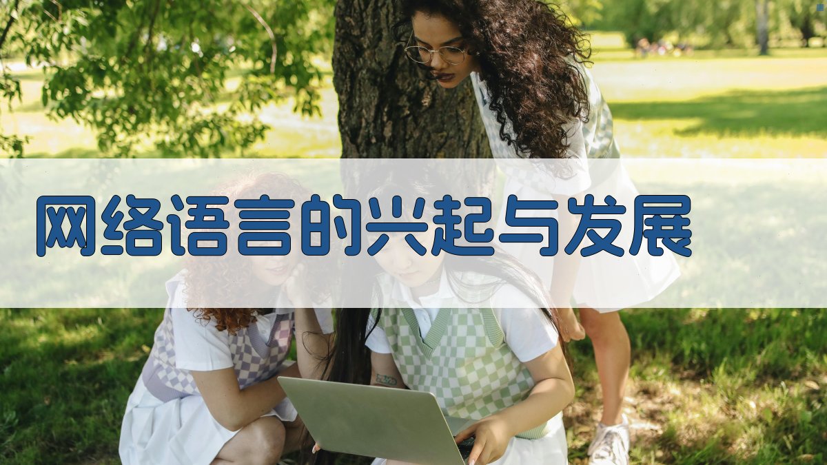 网络语言的兴起与发展 图1