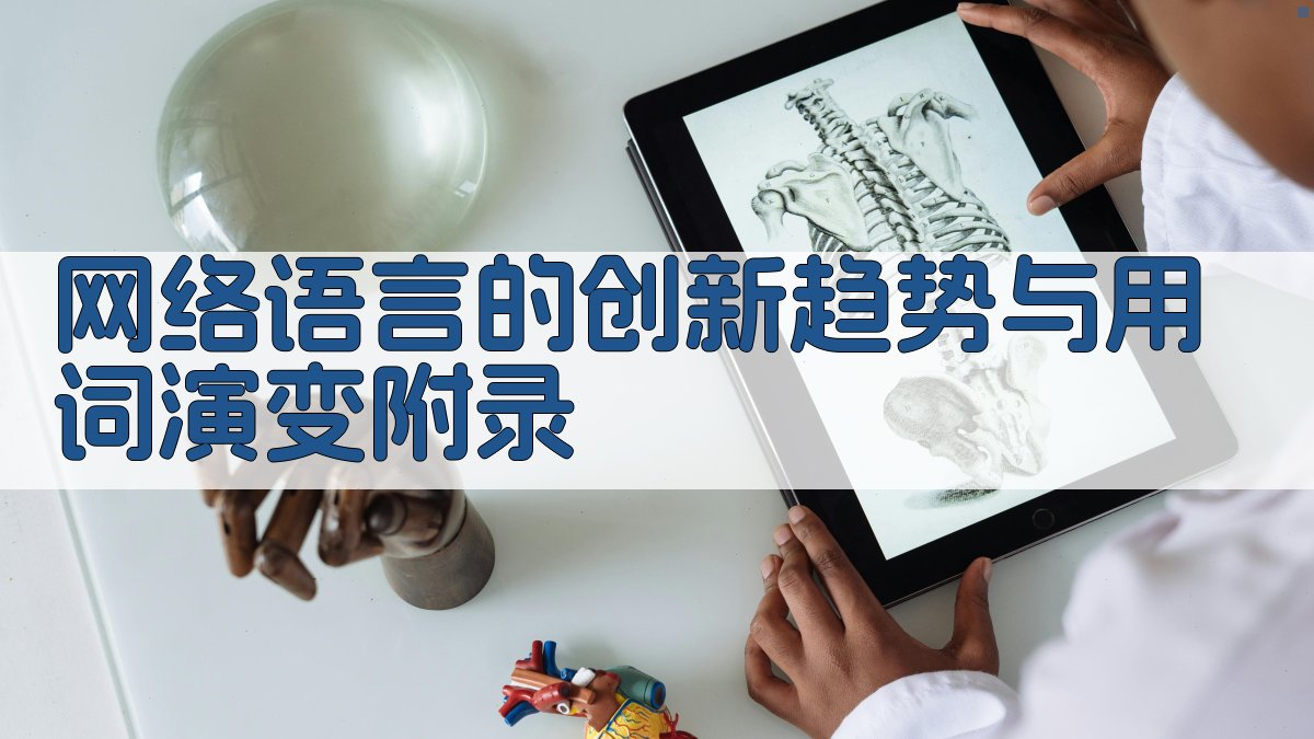 网络语言的创新趋势与用词演变 · 附录 图4