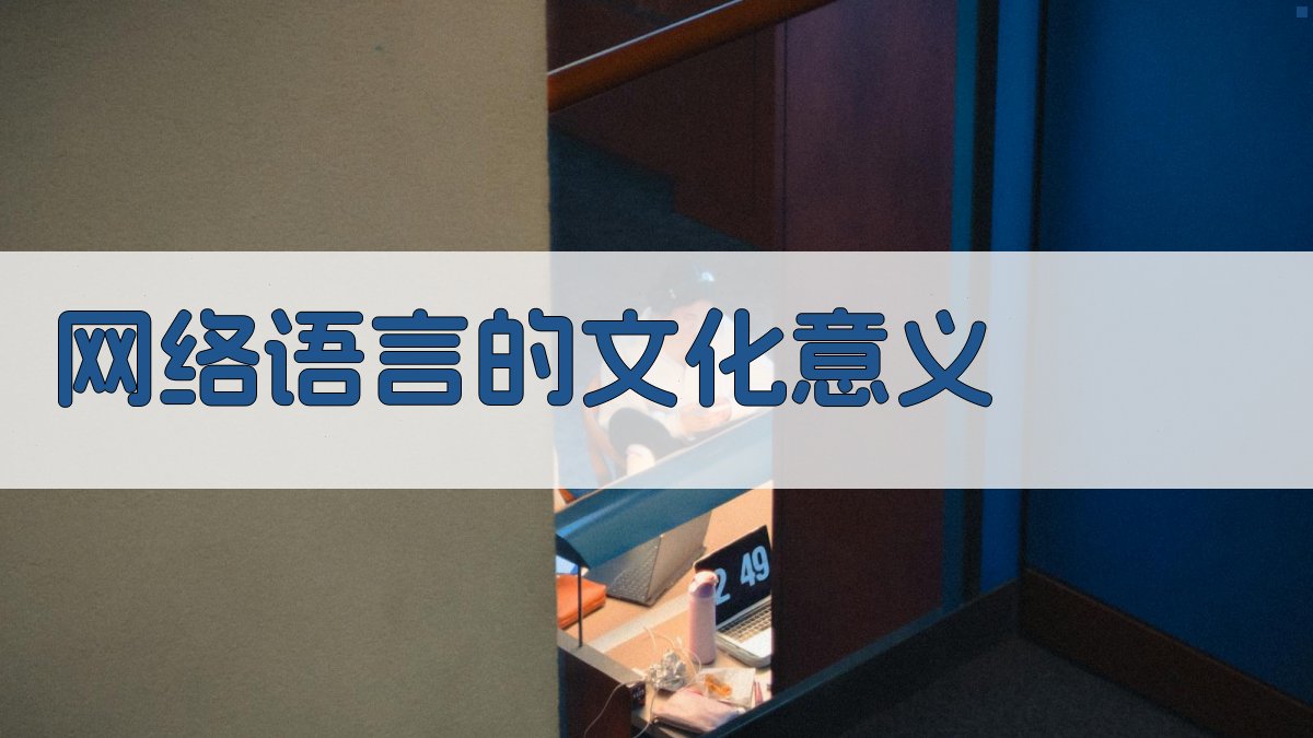 网络语言的文化意义 图4