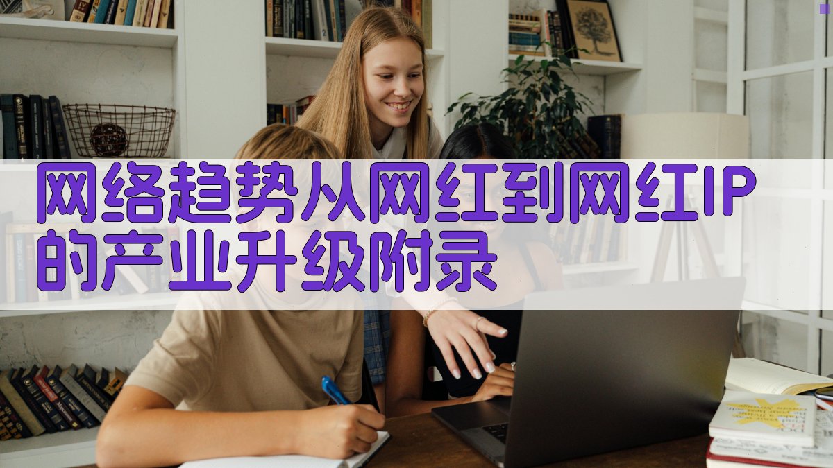 网络趋势从“网红”到“网红IP”的产业升级 · 附录 图4