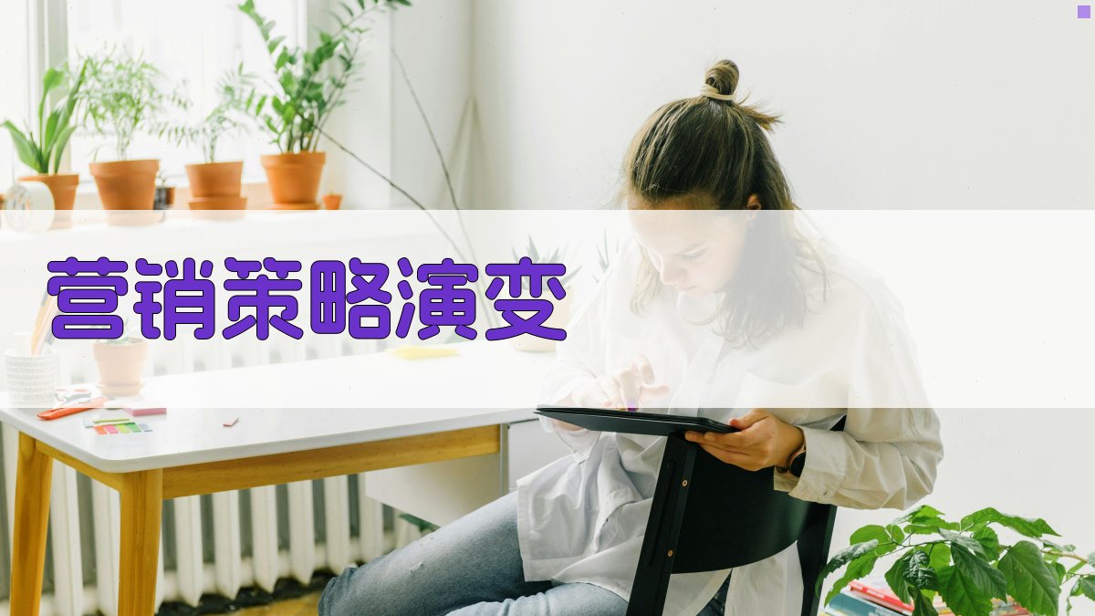 营销策略演变 图2