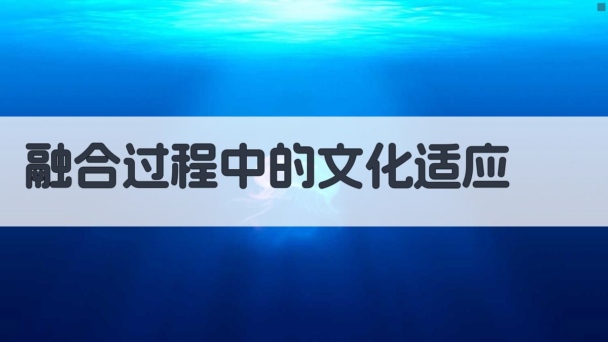 融合过程中的文化适应 图3