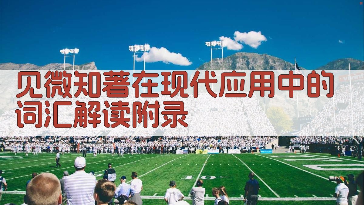 见微知著在现代应用中的词汇解读 · 附录 图3