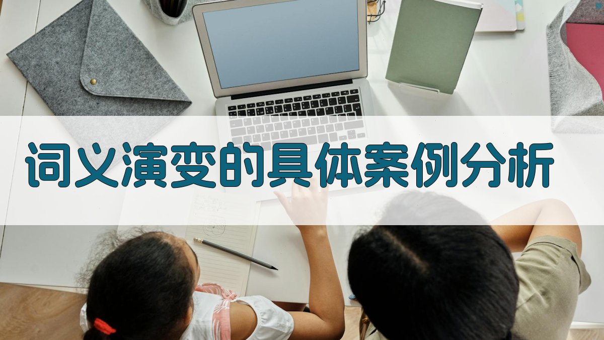 词义演变的具体案例分析 图3