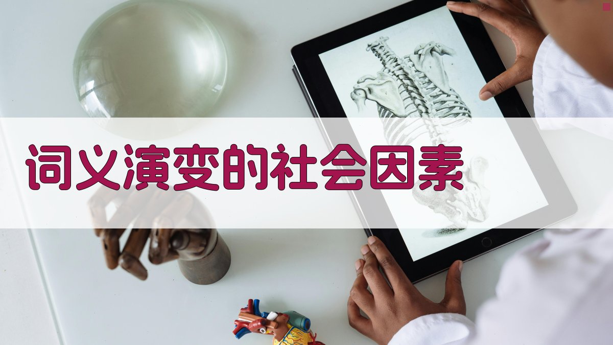 词义演变的社会因素 图2