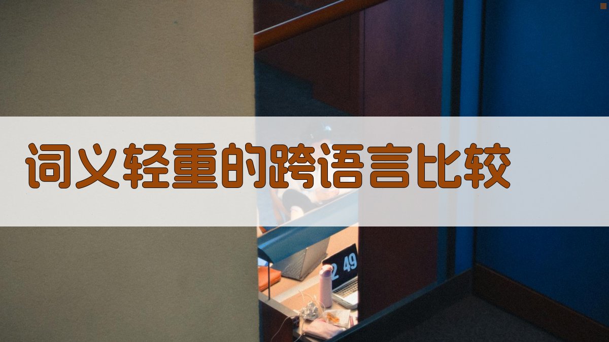 词义轻重的跨语言比较 图4