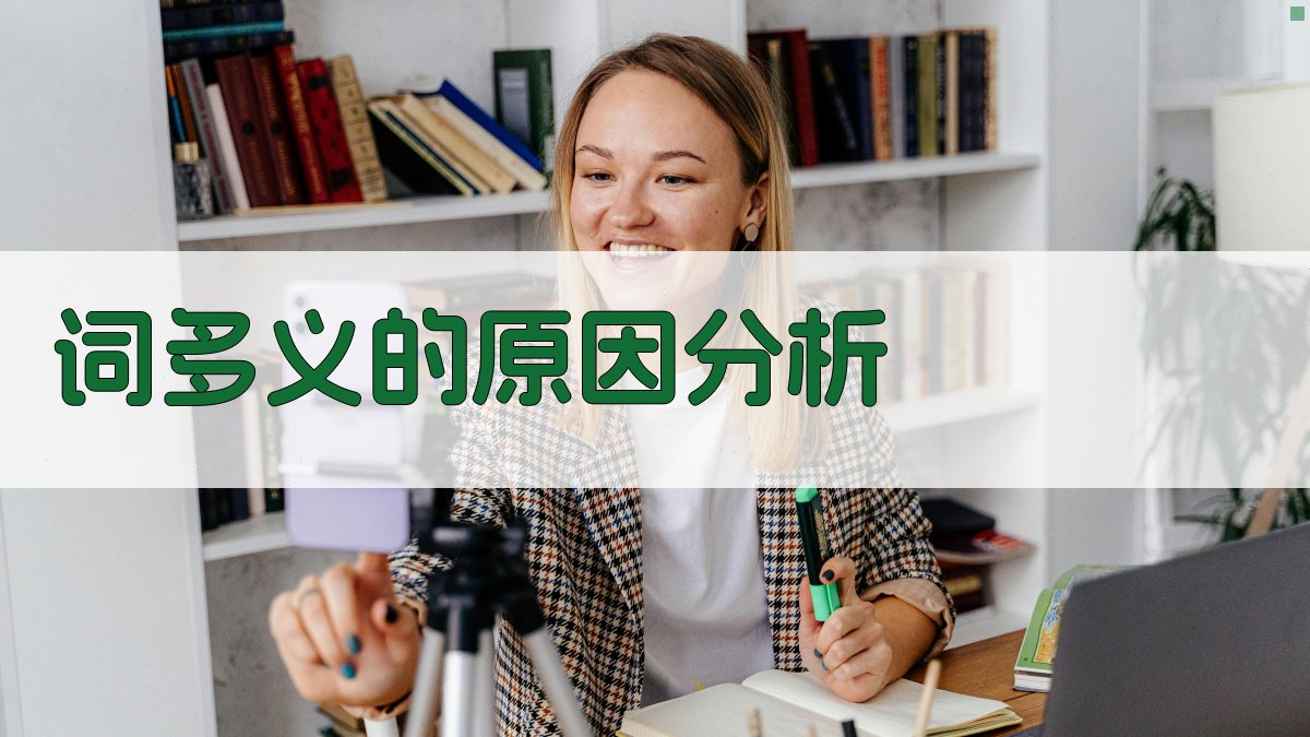 词多义的原因分析 图1