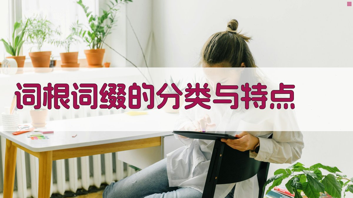 词根词缀的分类与特点 图2