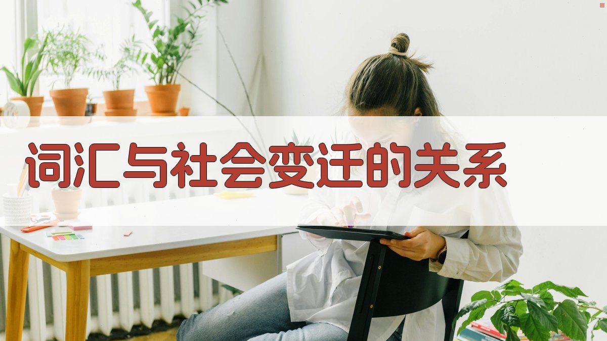 词汇与社会变迁的关系 图2