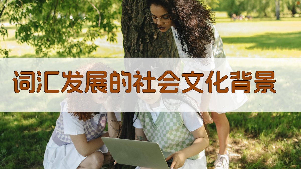 词汇发展的社会文化背景 图1