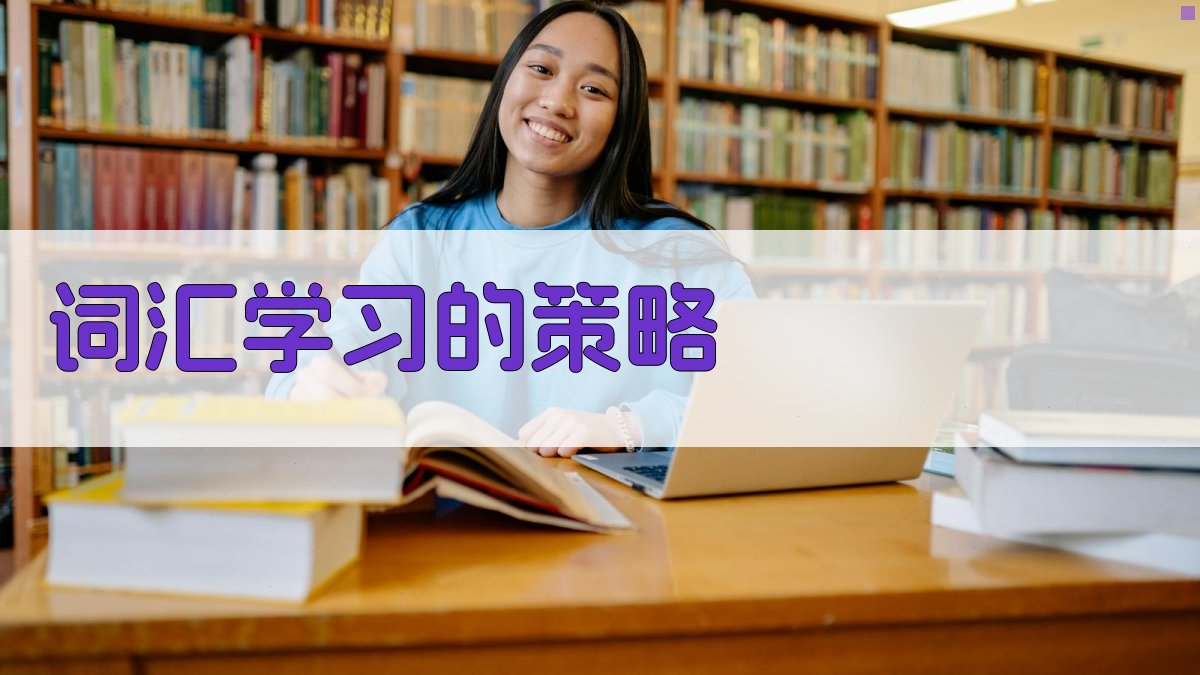 词汇学习的策略 图2