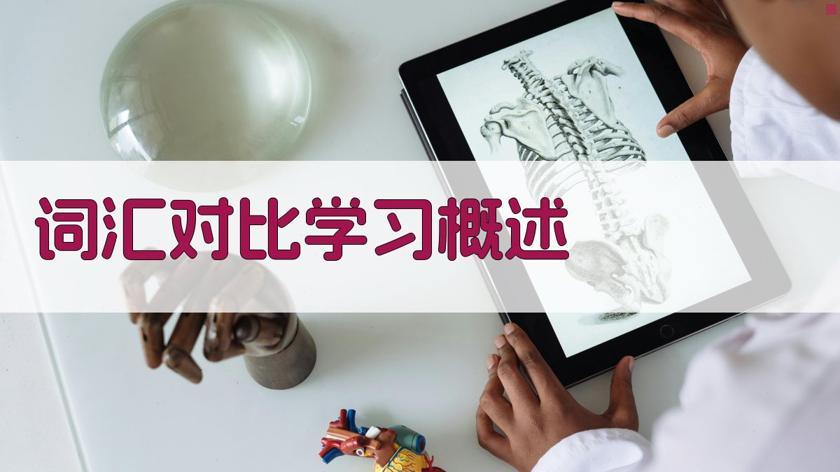 词汇对比学习概述 图1