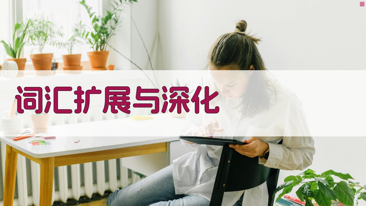 词汇扩展与深化 图4
