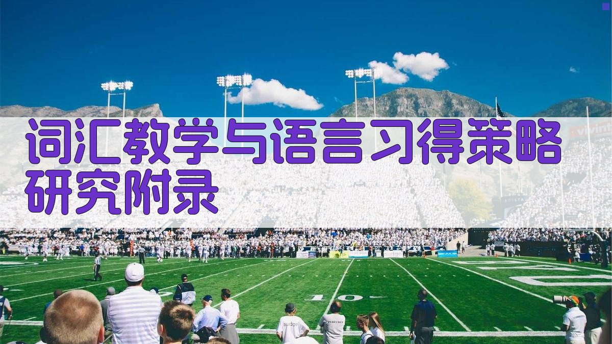 词汇教学与语言习得策略研究 · 附录 图4