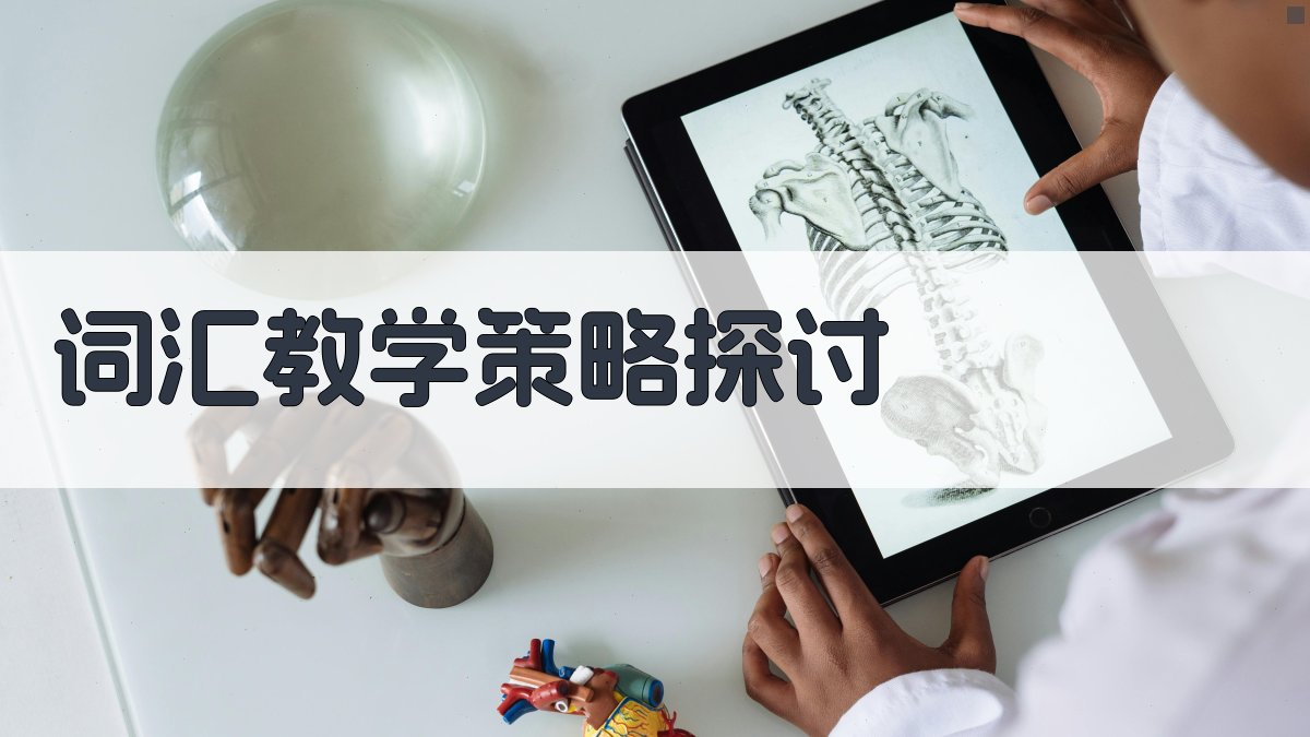 词汇教学策略探讨 图2
