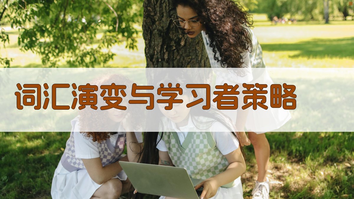 词汇演变与学习者策略 图4