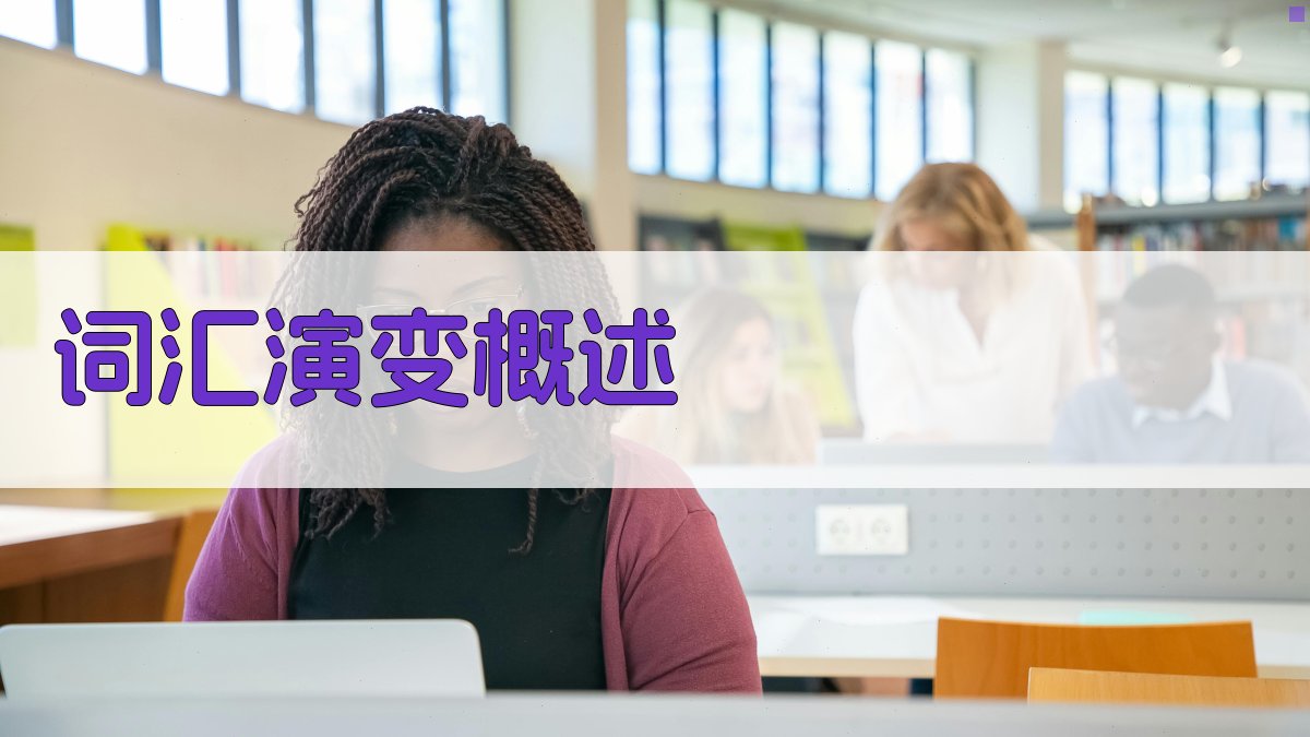 词汇演变概述 图1