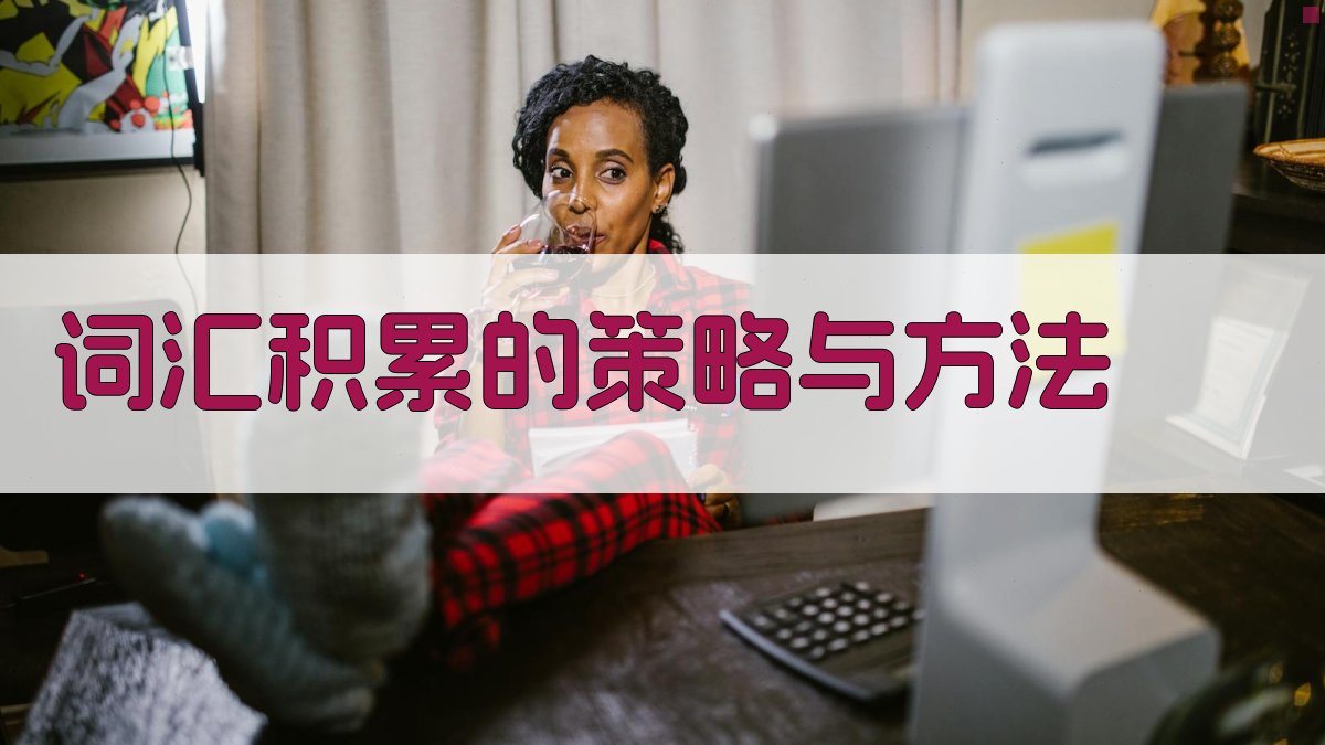 词汇积累的策略与方法 图2