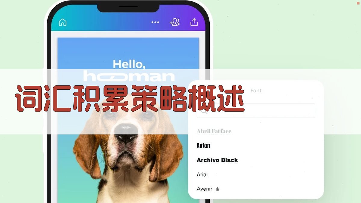 词汇积累策略概述 图1