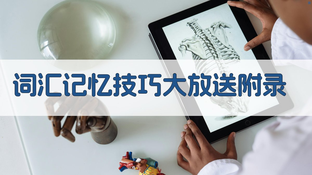 词汇记忆技巧大放送 · 附录 图1