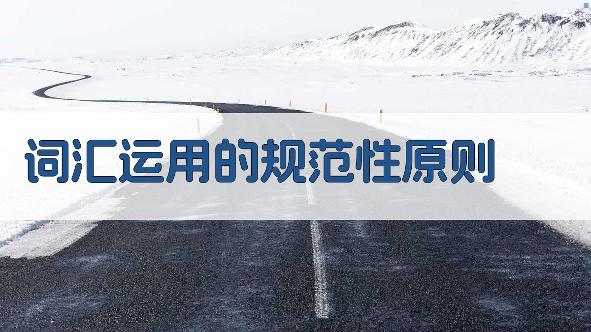 词汇运用的规范性原则 图3