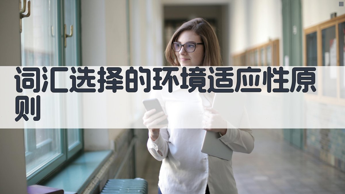 词汇选择的环境适应性原则 图1
