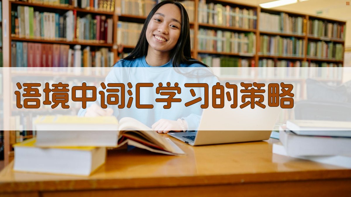 语境中词汇学习的策略 图2