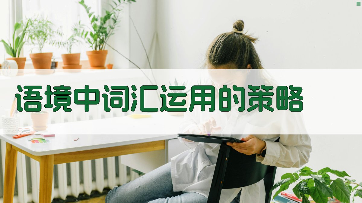 语境中词汇运用的策略 图3